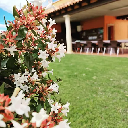El Cerro De Cabaneros